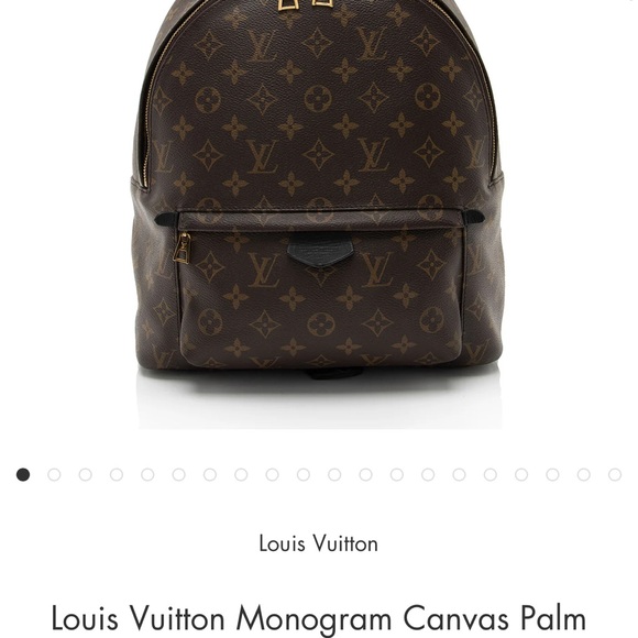 Palm Springs MM Louis Vuitton backpack - Picture 2 of 2